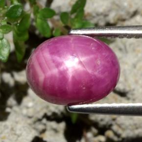 Rubí estrella rojo natural de 4,79 ct, corte óvalo, opaco