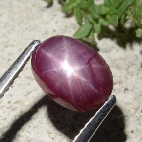 Rubí estrella rojo natural de 2,68 ct, corte óvalo, opaco