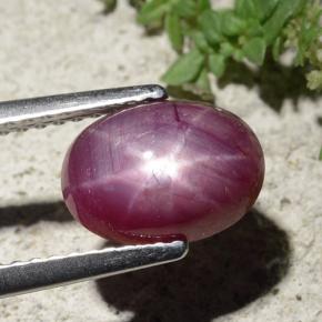 Rubí estrella rojo natural de 2,68 ct, corte óvalo, opaco