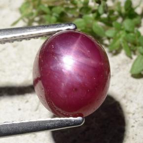 Rubí estrella rojo natural de 5,01 ct, corte óvalo, opaco