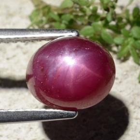 Rubí estrella rojo natural de 5,01 ct, corte óvalo, opaco