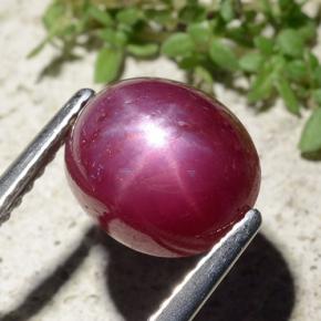 Rubí estrella rojo natural de 5,01 ct, corte óvalo, opaco