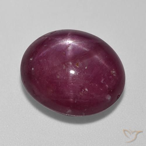 13.67ct Natural Rojo oscuro rubí estrella, Ovalada, Opaco