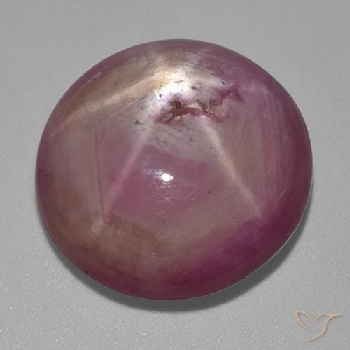 31.80ct Natural Púrpura claro medio rubí estrella, Ovalada, Opaco