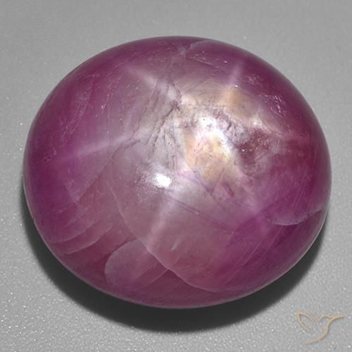 53.60ct Natural Púrpura oscuro medio rubí estrella, Ovalada, Opaco