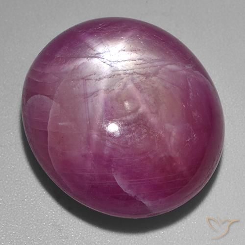 rubí estrella Púrpura oscuro medio natural de 53.60 ct, Ovalada, Opaco