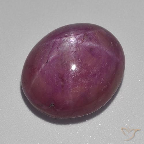 15.55ct Natural Púrpura oscuro medio rubí estrella, Ovalada, Opaco