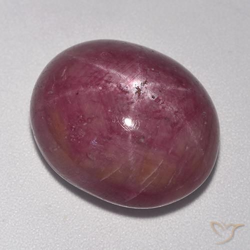 20.12ct Natural Púrpura rojizo rubí estrella, Ovalada, Opaco