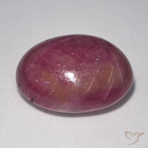 rubí estrella Púrpura rojizo natural de 20.12 ct, Ovalada, Opaco