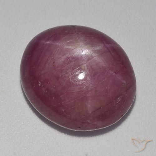 12.36ct Natural Púrpura rojizo rubí estrella, Ovalada, Opaco