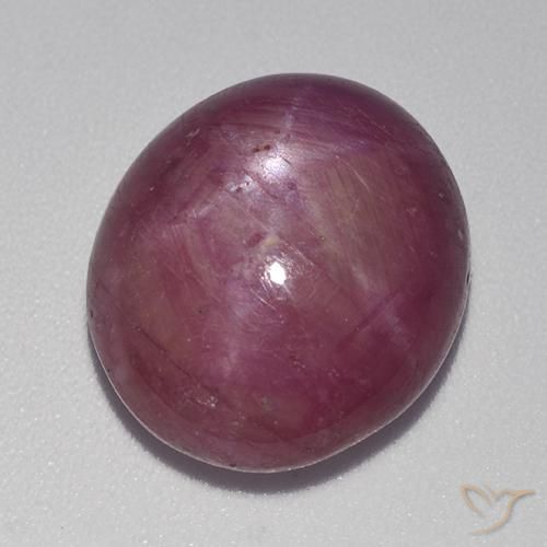 rubí estrella Púrpura rojizo natural de 12.36 ct, Ovalada, Opaco