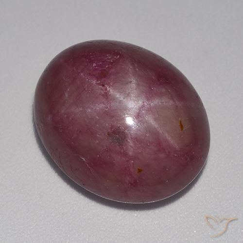 14.78ct Natural Púrpura oscuro medio rubí estrella, Ovalada, Opaco