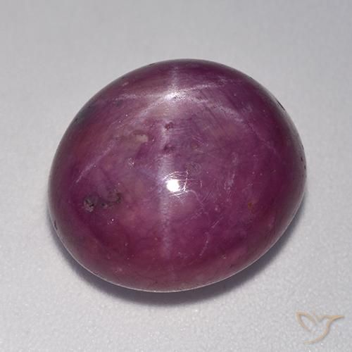 14.20ct Natural Púrpura rojizo rubí estrella, Ovalada, Opaco