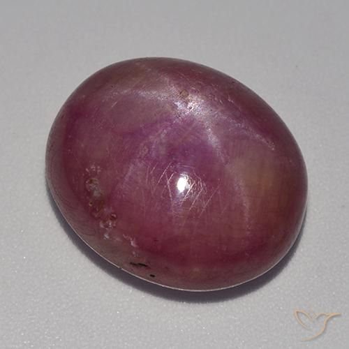 15.19ct Natural Púrpura medio rubí estrella, Ovalada, Opaco