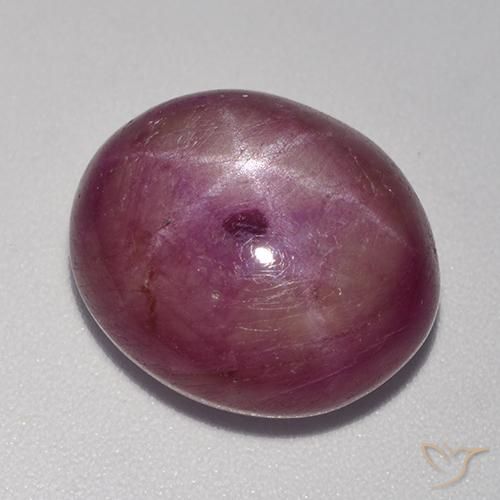 15.67ct Natural Púrpura rojizo rubí estrella, Ovalada, Opaco