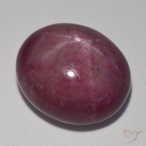20.21ct Natural Magenta grisáceo rubí estrella, Ovalada, Opaco