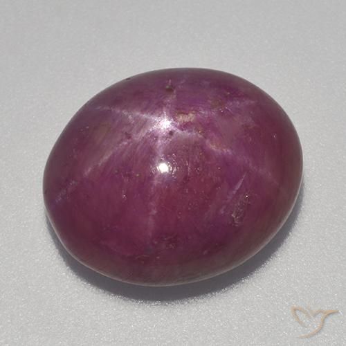 13.70ct Natural Púrpura oscuro medio rubí estrella, Ovalada, Opaco