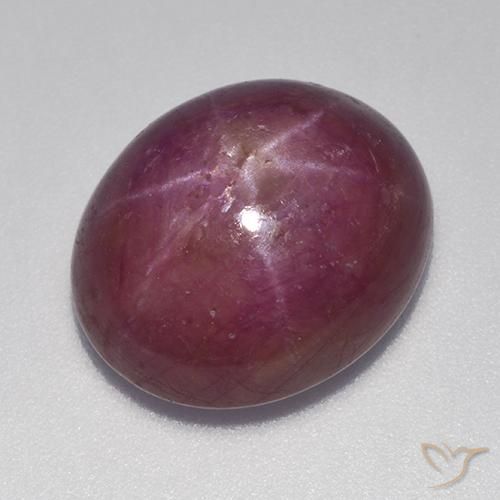 17.70ct Natural Púrpura oscuro medio rubí estrella, Ovalada, Opaco