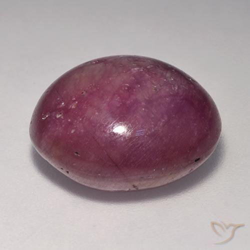 rubí estrella Púrpura rojizo natural de 18.41 ct, Ovalada, Opaco