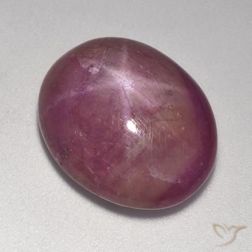 15.00ct Natural Púrpura oscuro medio rubí estrella, Ovalada, Opaco