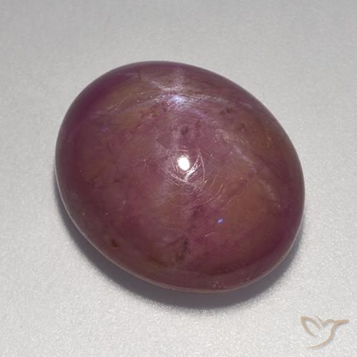 14.20ct Natural Magenta grisáceo rubí estrella, Ovalada, Opaco