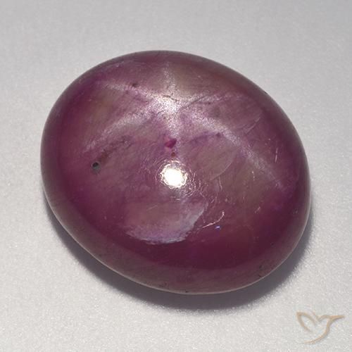 20.08ct Natural Púrpura ciruela rubí estrella, Ovalada, Opaco