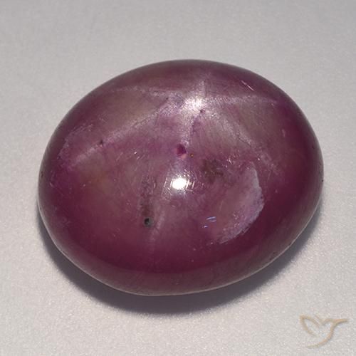 rubí estrella Púrpura ciruela natural de 20.08 ct, Ovalada, Opaco