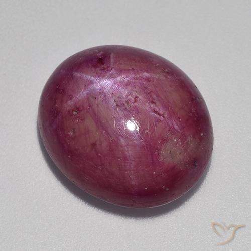 12.64ct Natural Púrpura ciruela rubí estrella, Ovalada, Opaco