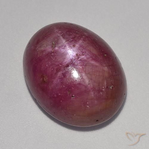 14.18ct Natural Púrpura rojizo rubí estrella, Ovalada, Opaco