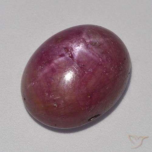 rubí estrella Púrpura rojizo natural de 14.18 ct, Ovalada, Opaco
