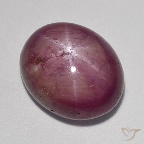 13.63ct Natural Púrpura medio rubí estrella, Ovalada, Opaco