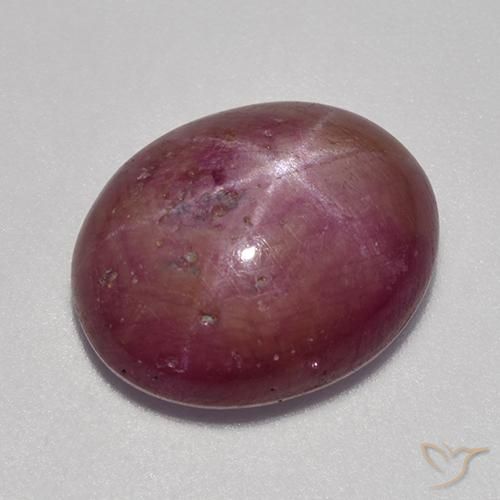 9.53ct Natural Púrpura ciruela rubí estrella, Ovalada, Opaco