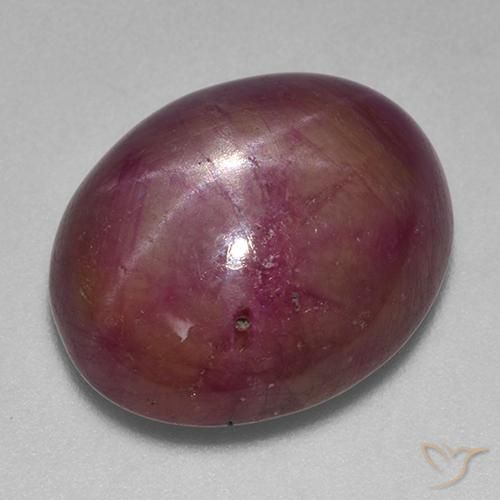 17.03ct Natural Púrpura medio rubí estrella, Ovalada, Opaco