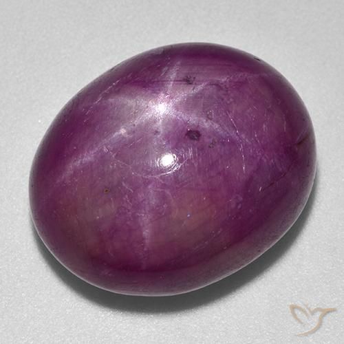 25.25ct Natural Púrpura oscuro rubí estrella, Ovalada, Opaco