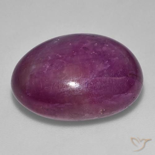 rubí estrella Púrpura oscuro natural de 25.25 ct, Ovalada, Opaco