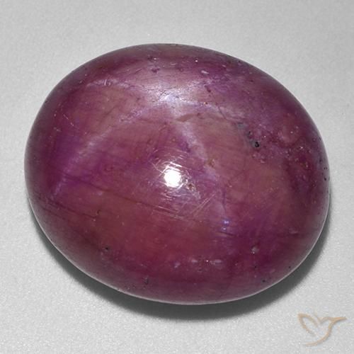 33.25ct Natural Púrpura ciruela rubí estrella, Ovalada, Opaco