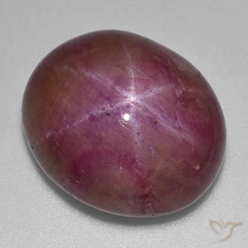 23.70ct Natural Púrpura ciruela rubí estrella, Ovalada, Opaco