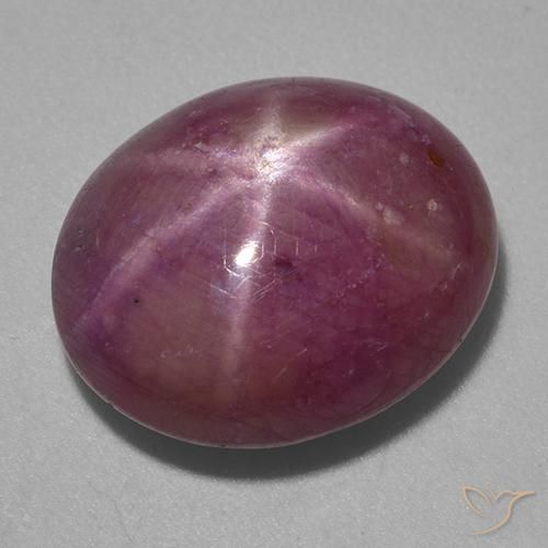 13.87ct Natural Púrpura oscuro medio rubí estrella, Ovalada, Opaco