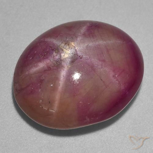 13.67ct Natural Púrpura ciruela rubí estrella, Ovalada, Opaco