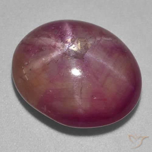 rubí estrella Púrpura ciruela natural de 13.67 ct, Ovalada, Opaco