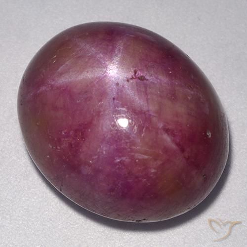 rubí estrella Púrpura rojizo natural de 24.55 ct, Ovalada, Opaco