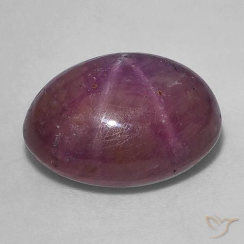 rubí estrella Púrpura oscuro medio natural de 18.38 ct, Ovalada, Opaco