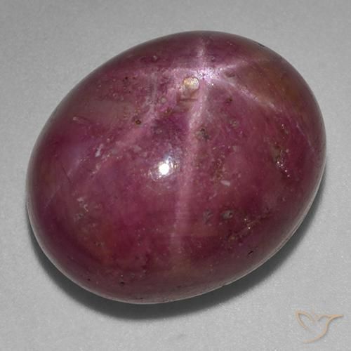25.89ct Natural Púrpura ciruela rubí estrella, Ovalada, Opaco