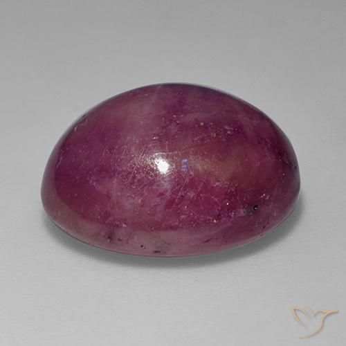 rubí estrella Púrpura rosado natural de 15.62 ct, Ovalada, Opaco