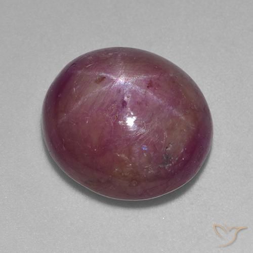 11.27ct Natural Púrpura oscuro medio rubí estrella, Ovalada, Opaco
