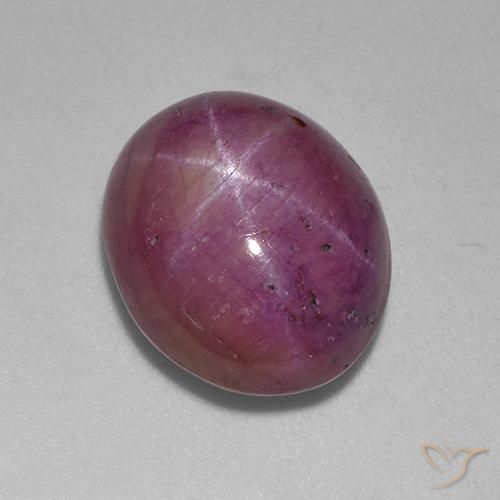 11.87ct Natural Púrpura ciruela rubí estrella, Ovalada, Opaco