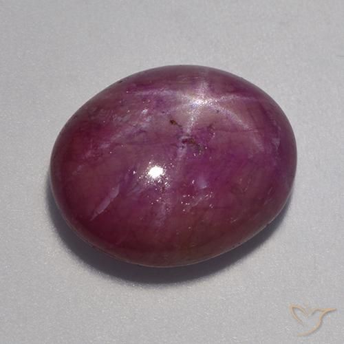 12.90ct Natural Púrpura oscuro medio rubí estrella, Ovalada, Opaco