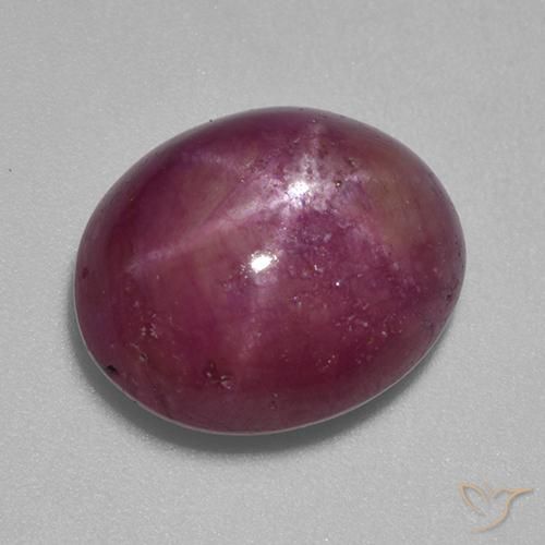 12.45ct Natural Púrpura ciruela rubí estrella, Ovalada, Opaco