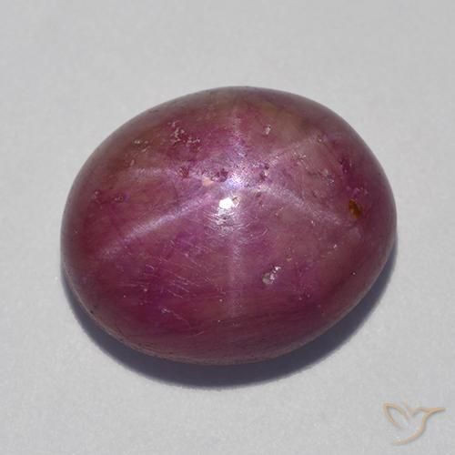 12.55ct Natural Púrpura medio rubí estrella, Ovalada, Opaco