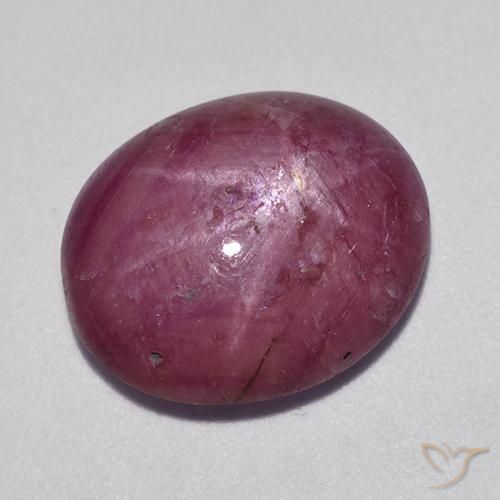 rubí estrella Rosado magenta natural de 11.80 ct, Ovalada, Opaco